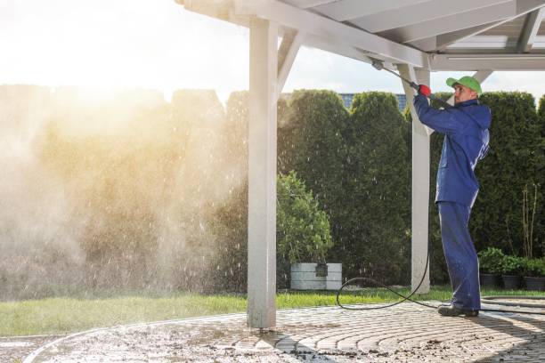 Best Rust Removal  in Howard Lake, MN