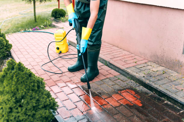 Pre-Holiday Cleaning in Howard Lake, MN