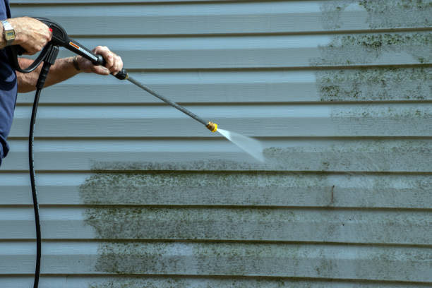 Best Fence Cleaning  in Howard Lake, MN